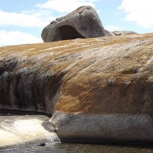 Tarairiu e1607183886365