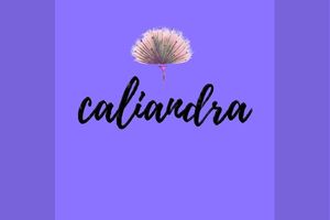 Caliandra Caliandra