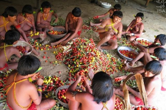 Indigenas no Brasil Povos indígenas