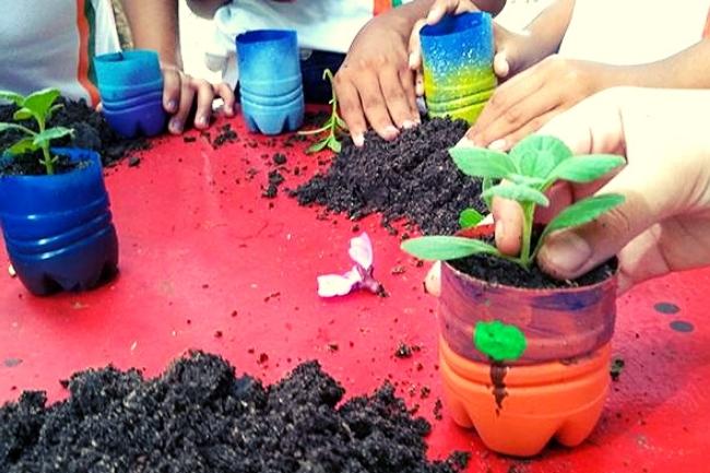 Estudantes interagem com fauna e flora tipicas do Ceara Educação Ambiental