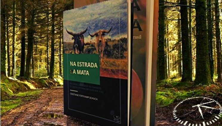 Na Estrada da Mata de Cristiane F. Schuch Detalhe de capa Imagem Editora Sobre o Tempo