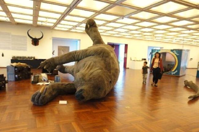 Museo Nacional de Artes Visuales Montevideo Imagem Tripadvisor