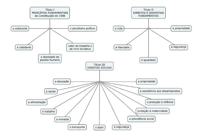 Principios e direitos fundamentais na Constituicao de 1988